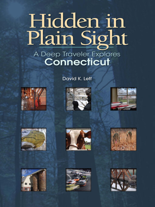 Title details for Hidden in Plain Sight by David K. Leff - Available